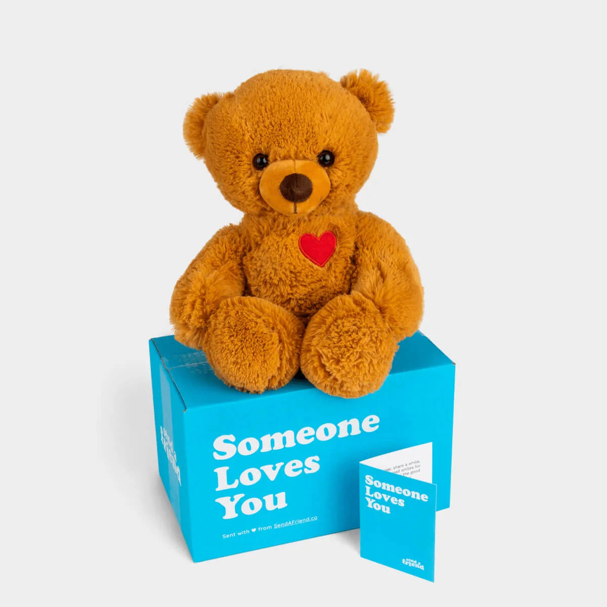 Teddy Bear Stuffed Animal