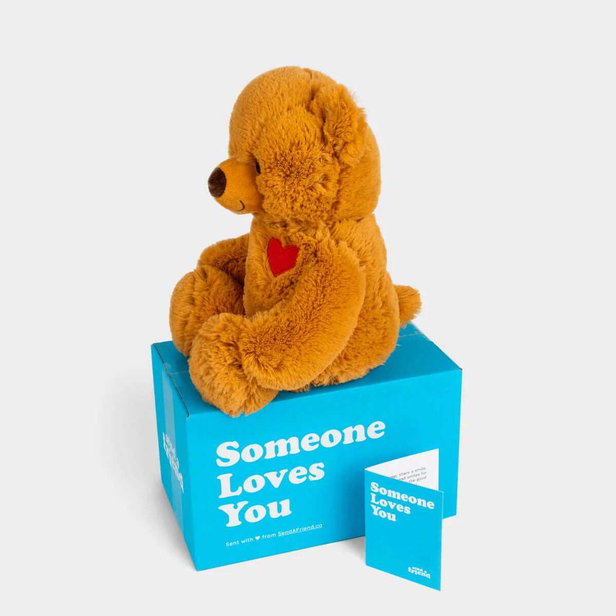 Teddy Bear Stuffed Animal