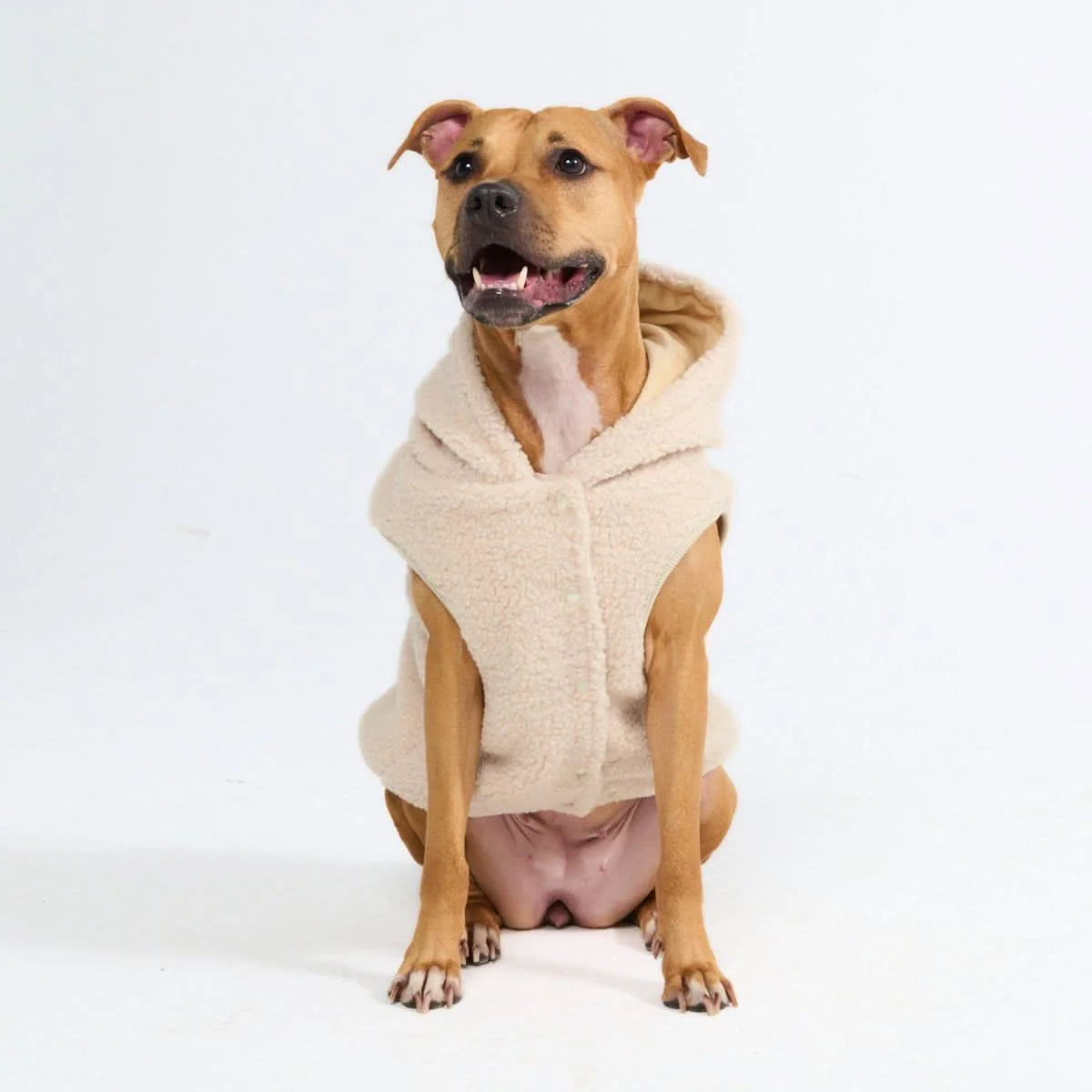 Teddy Sherpa Dog Jacket in Beige
