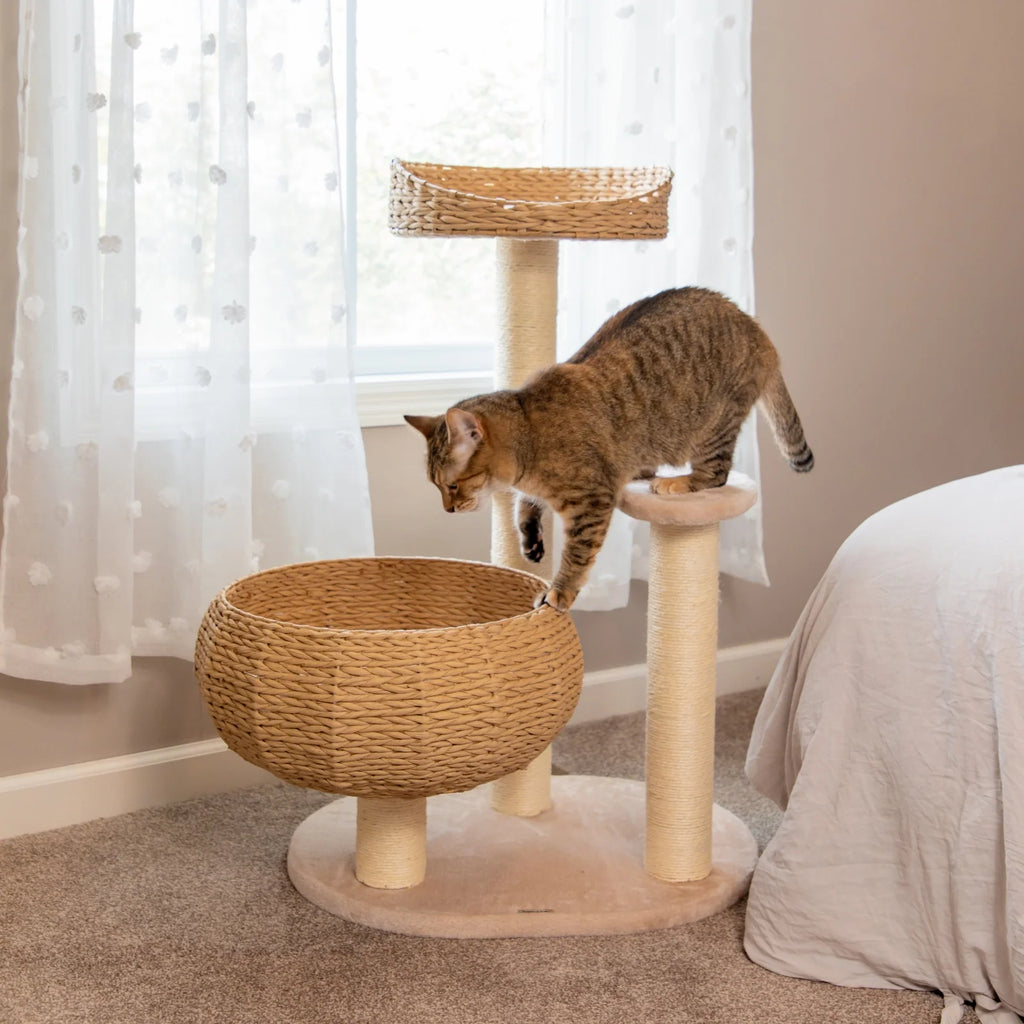 Three-Tier Cat Tree