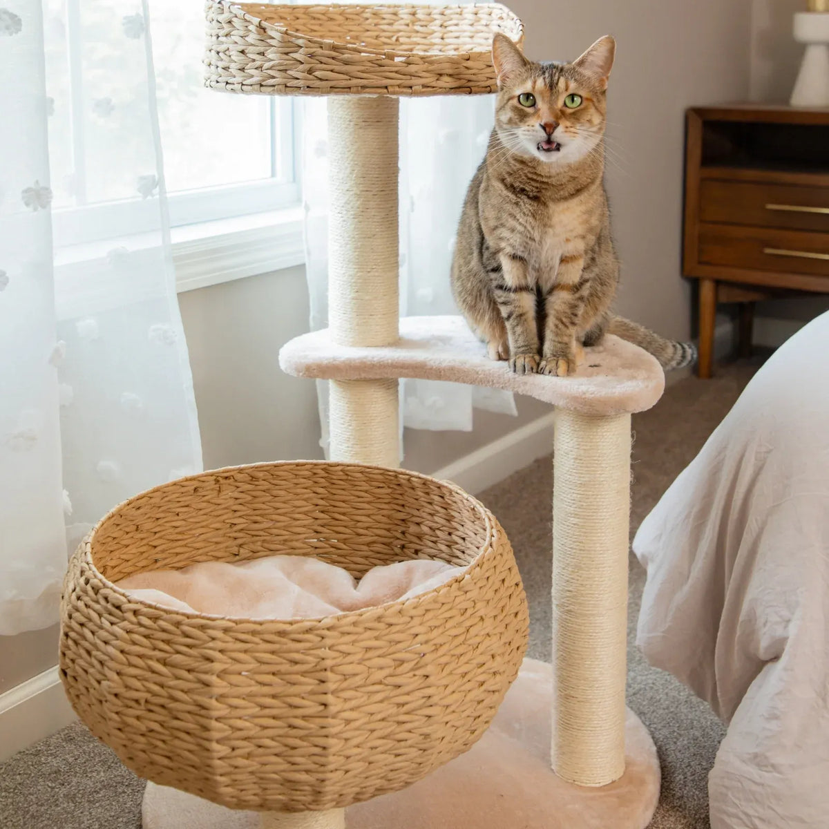 Three-Tier Cat Tree