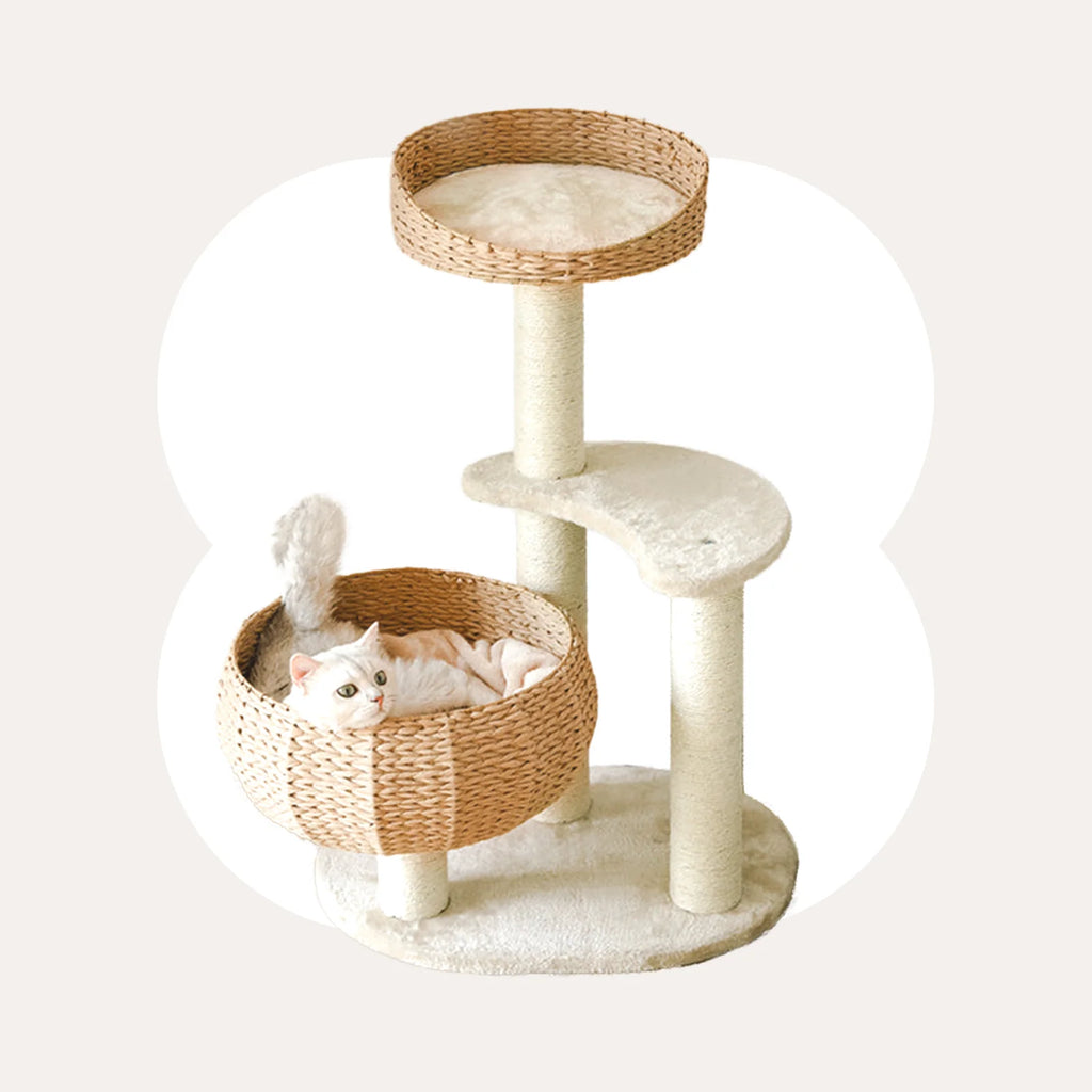Three-Tier Cat Tree, Local Ready Stock-3-5 Days to