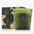 Three-Wick Scented Candle in Temple Moss, 38 oz Coconut Wax Blend in an Embossed Glass Gift-Boxed Jar