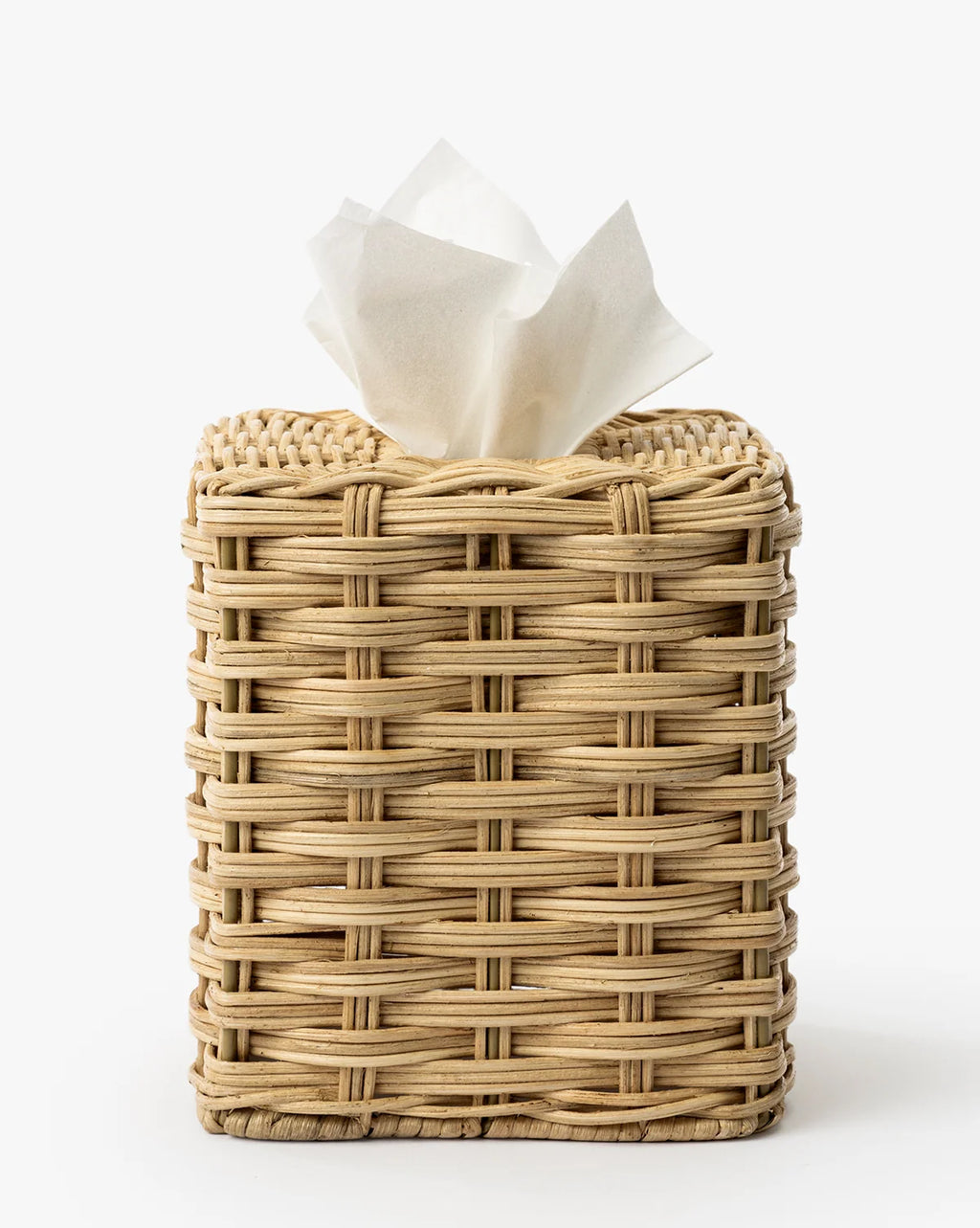 Tissue Holder