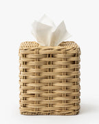 Tissue Holder