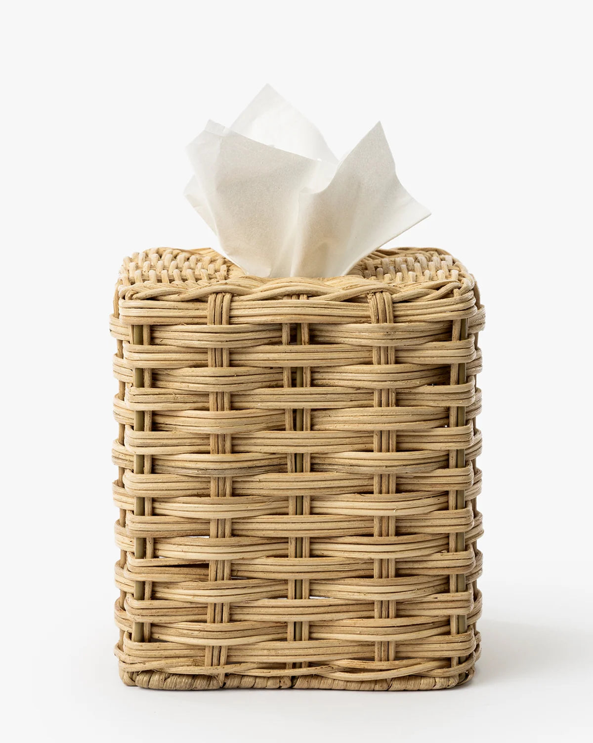 Tissue Holder