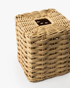 Tissue Holder