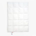 Toddler Down Insert, 200 g European Muscovy Duck Down, 90 x 125