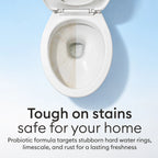Toilet Bowl Cleaner Tablets