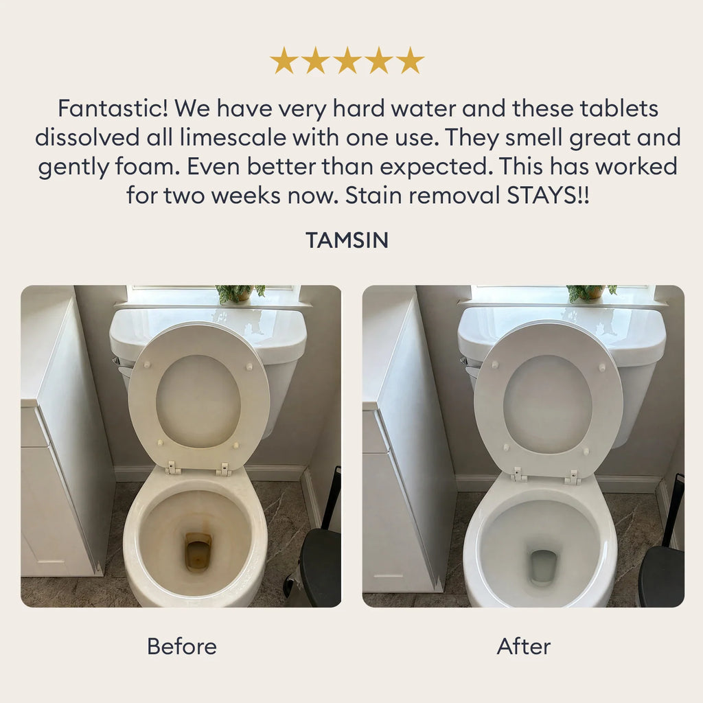 Toilet Bowl Cleaner Tablets