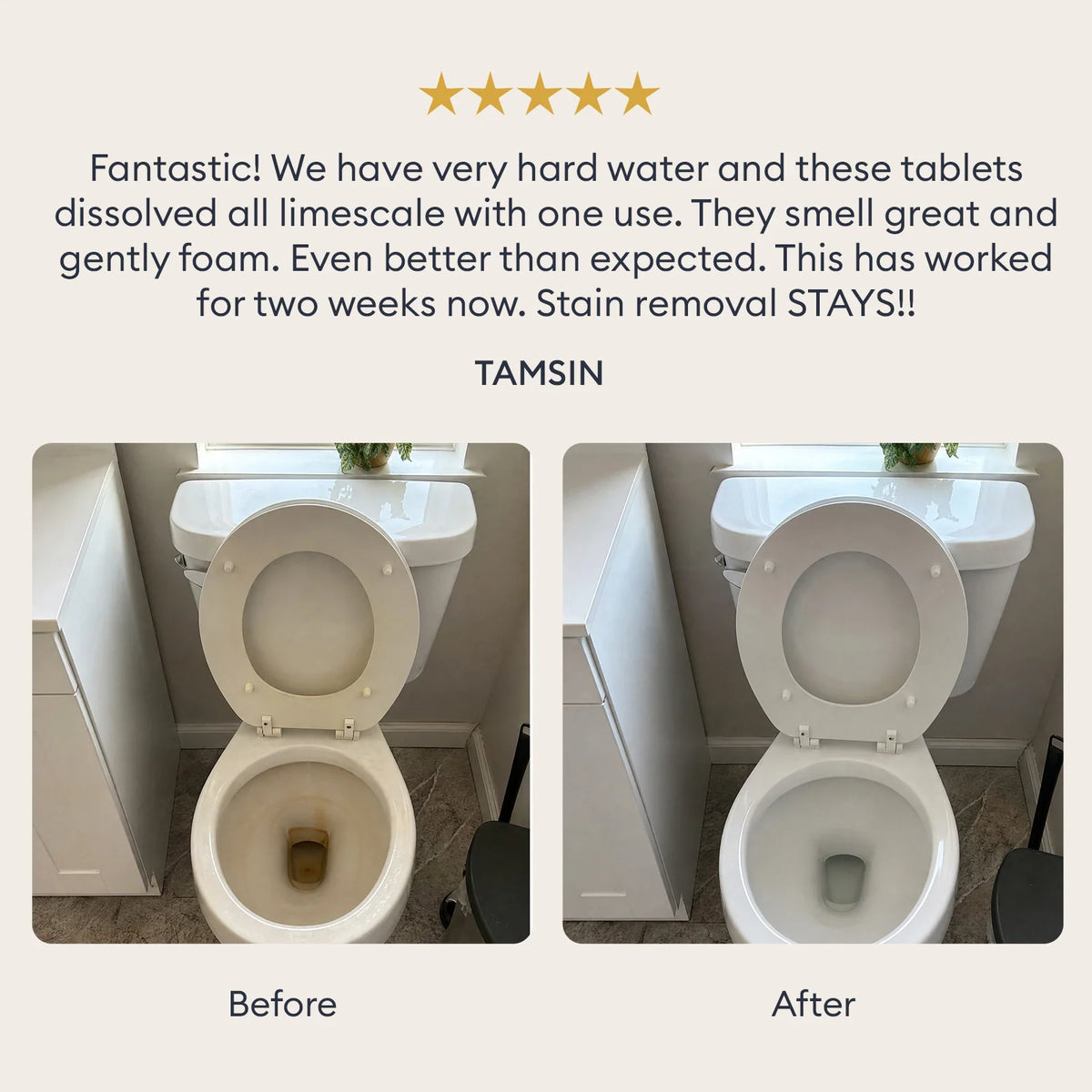 Toilet Bowl Cleaner Tablets