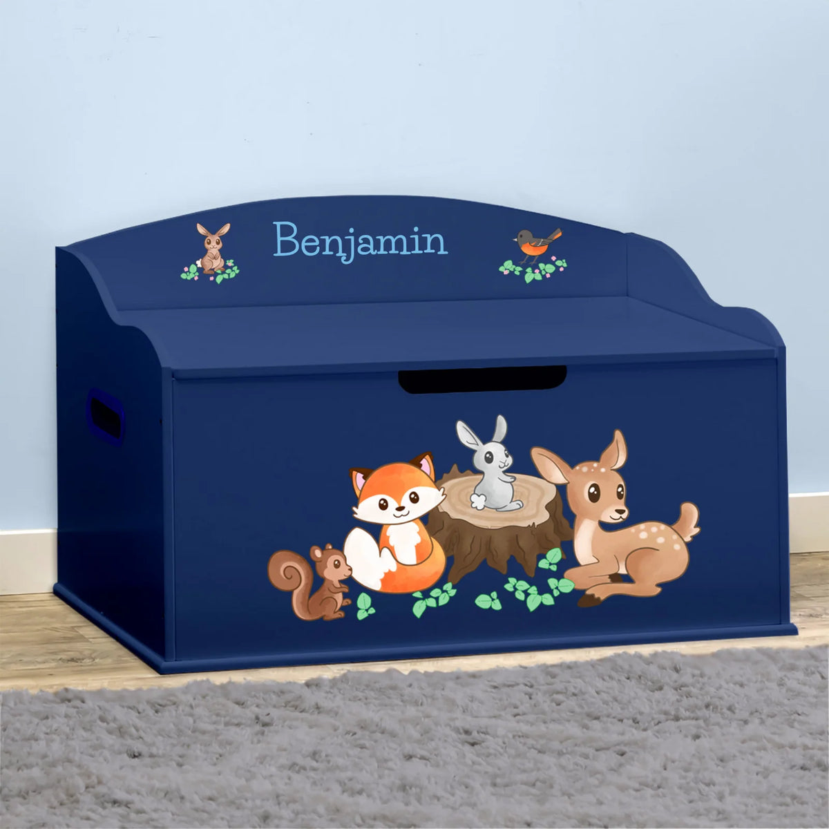 Toy Chest