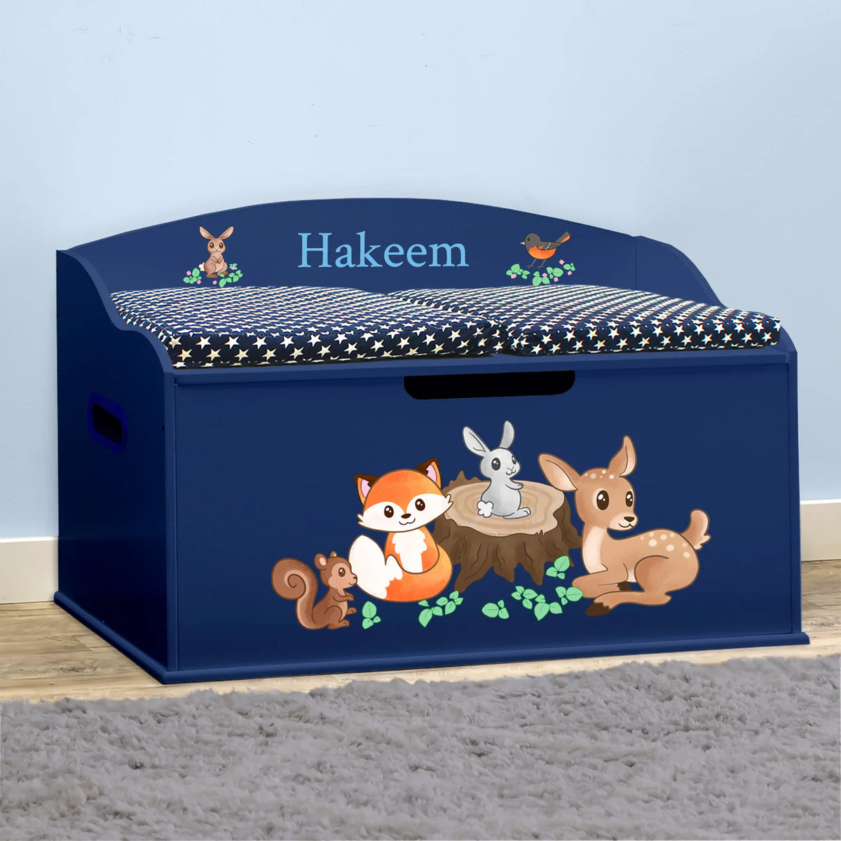 Toy Chest
