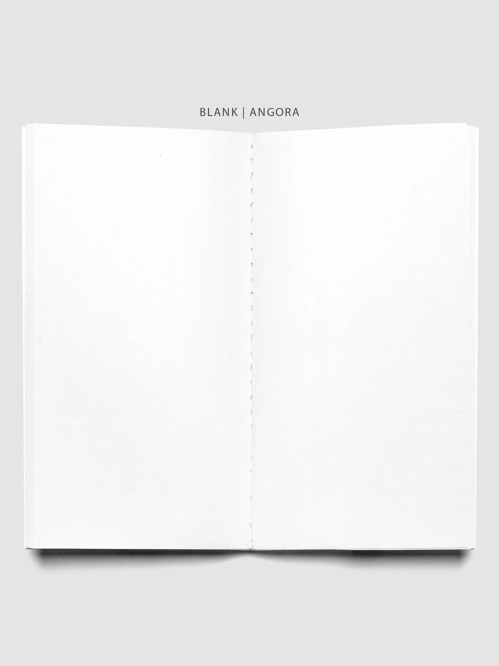 Travel Notebook Bundle with Three 64-Page Notebooks and a Clear Vinyl Cover for Planning and Journaling