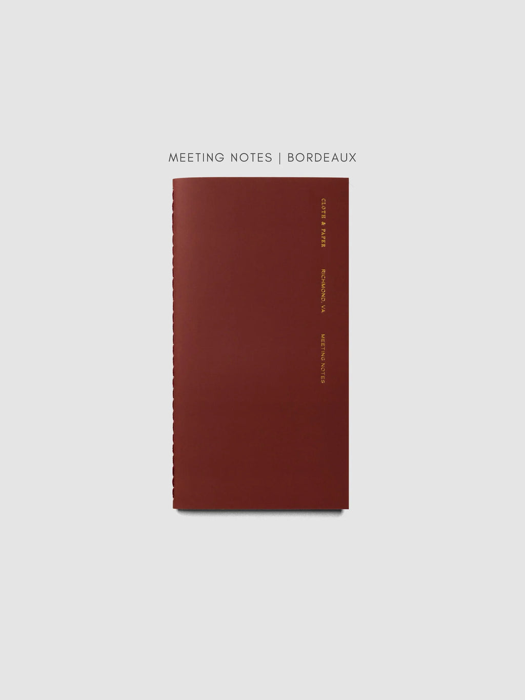 Travel Notebook Bundle with Three 64-Page Notebooks and a Clear Vinyl Cover for Planning and Journaling
