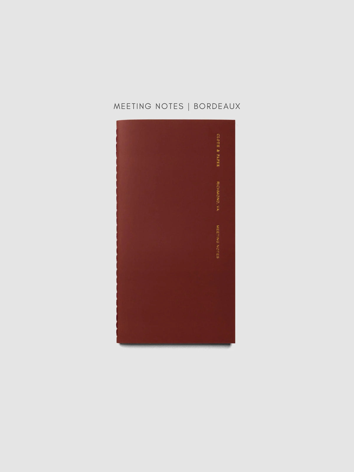 Travel Notebook Bundle with Three 64-Page Notebooks and a Clear Vinyl Cover for Planning and Journaling