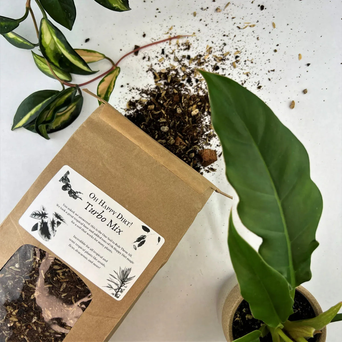 Tropical Houseplant Potting Soil Mix