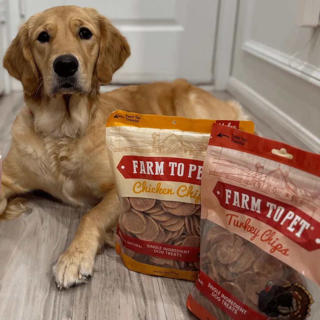Turkey and Chicken Chip Dog Treat Duo