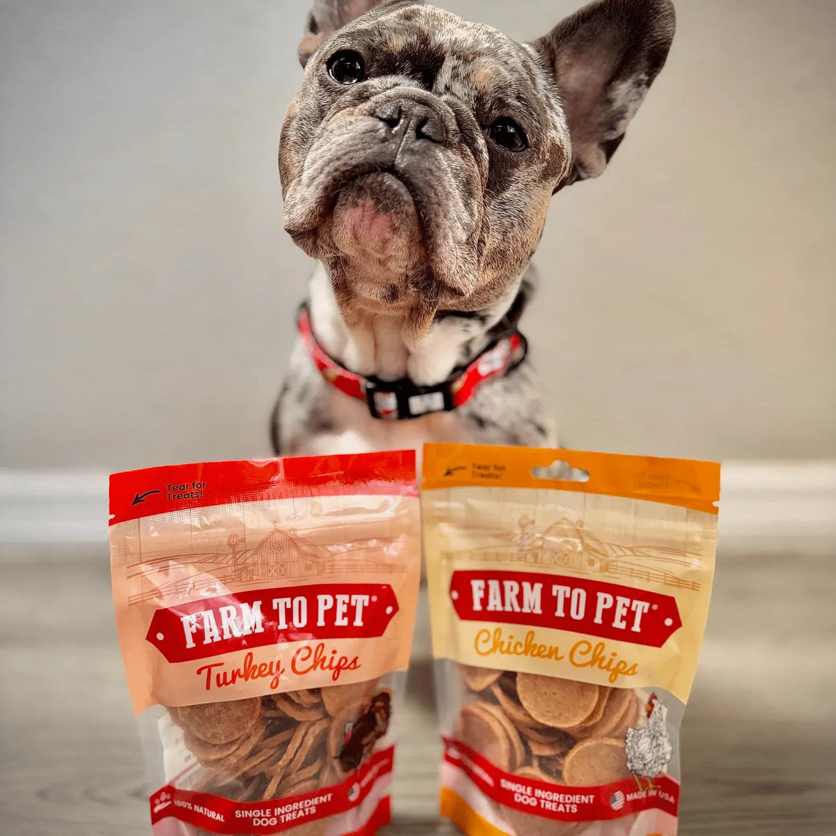 Turkey and Chicken Chip Dog Treat Duo