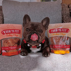 Turkey and Chicken Chip Dog Treat Duo
