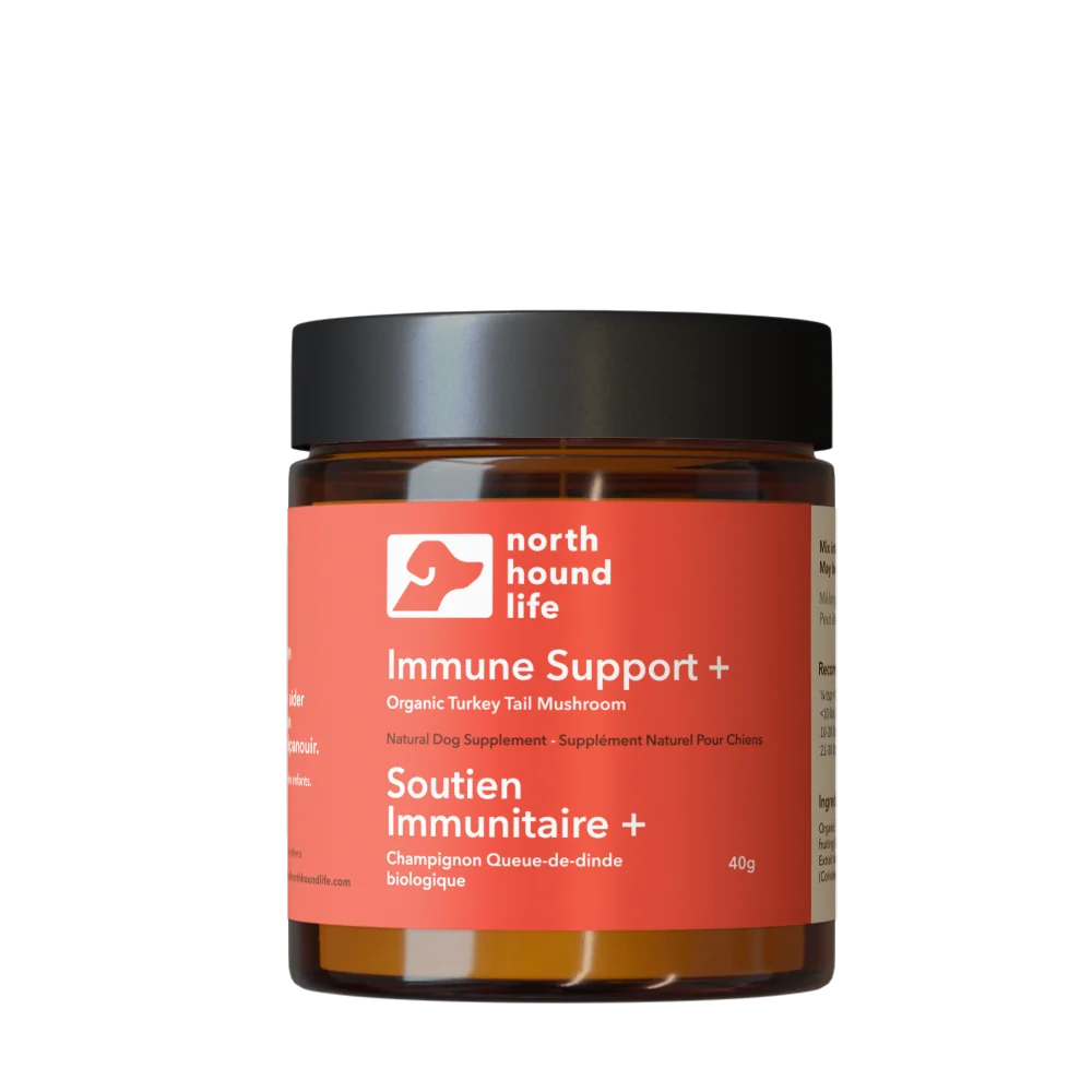 Turkey Tail Mushroom Powder, 40 g