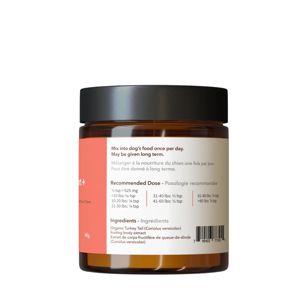 Turkey Tail Mushroom Powder
