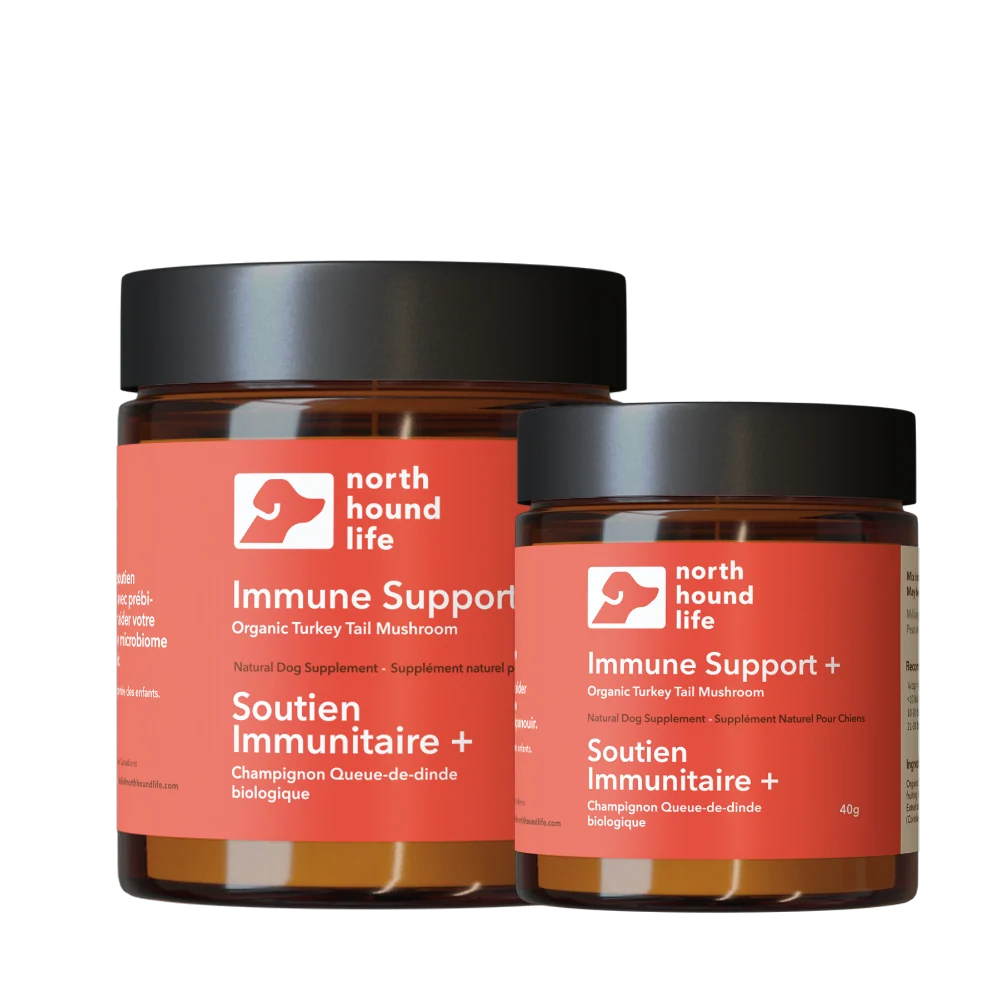 Turkey Tail Mushroom Powder