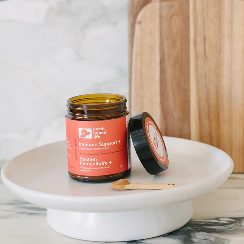 Turkey Tail Mushroom Powder