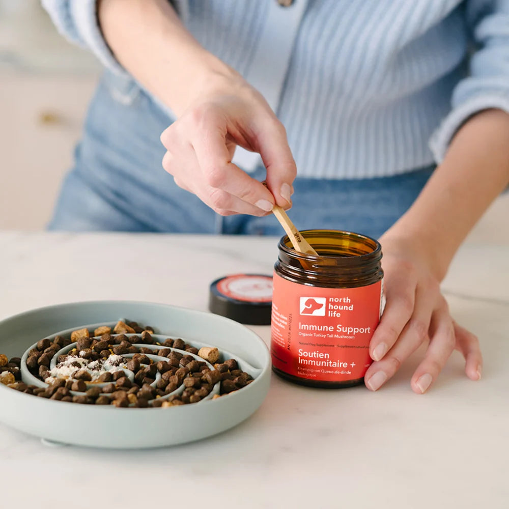 Turkey Tail Mushroom Powder