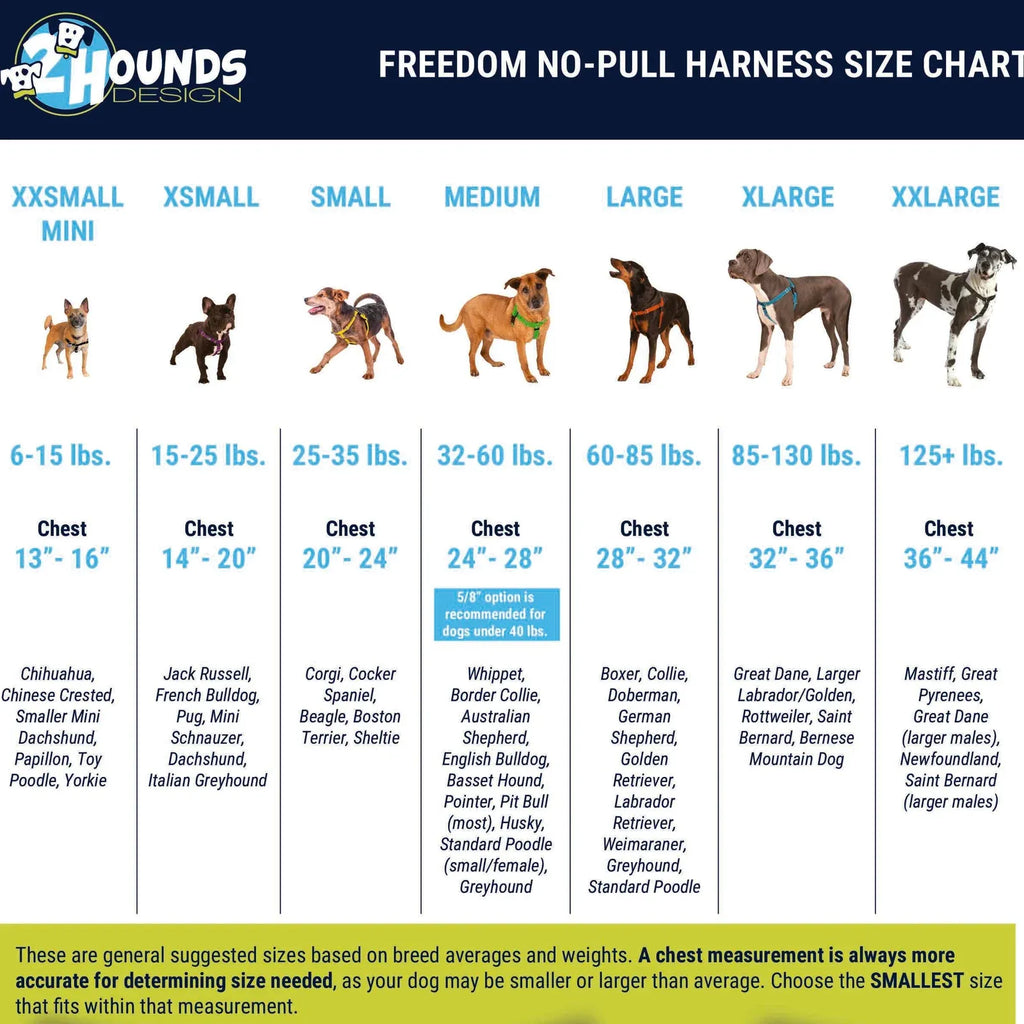 Turquoise No-Pull Dog Harness with a Velvet-Lined Chest Strap and Front and Back Leash Attachments