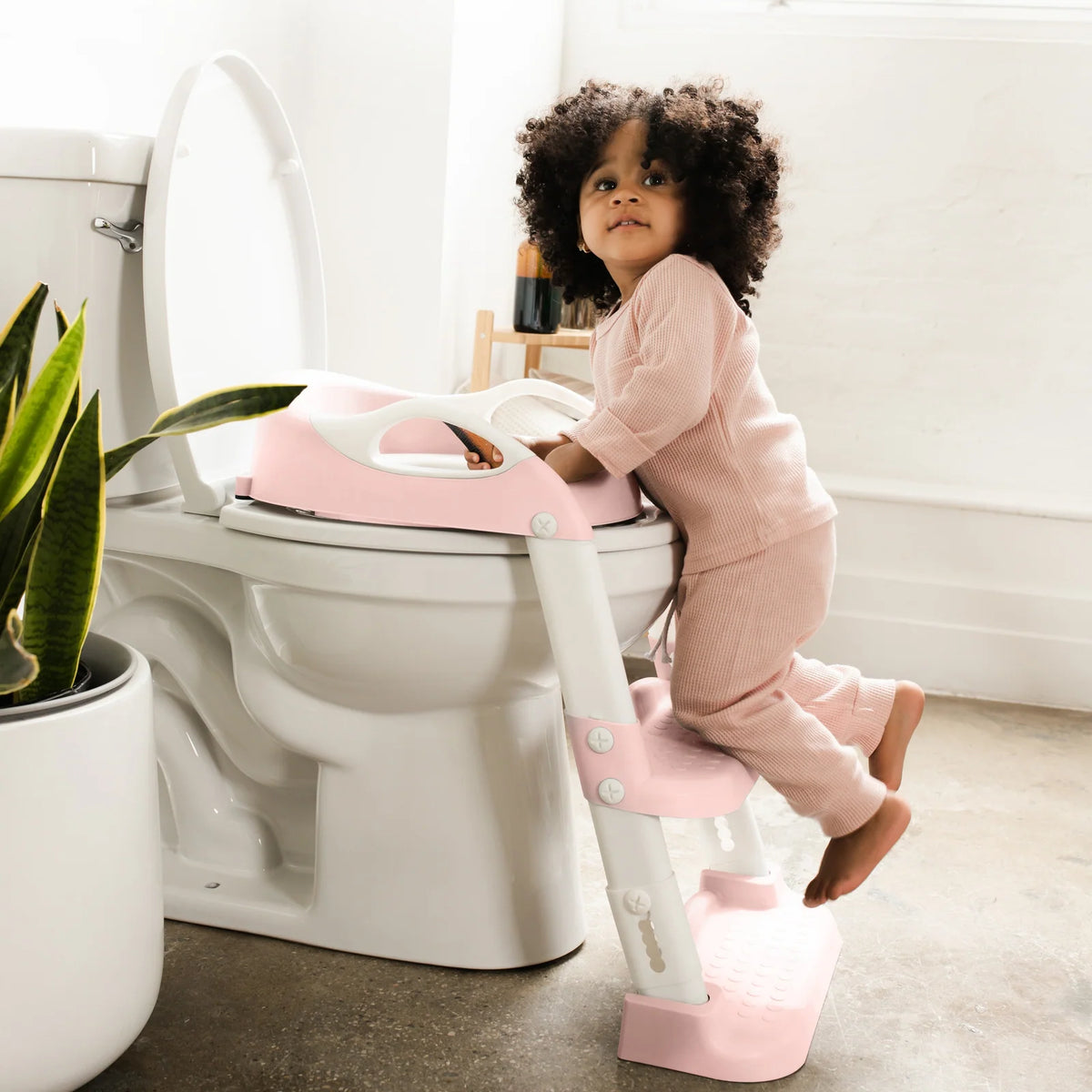 Two-Step Ladder Potty Training Seat