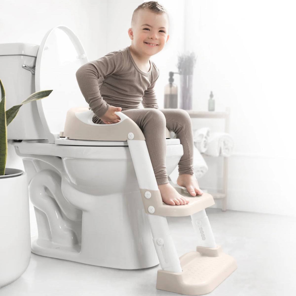 Two-Step Ladder Potty Training Seat