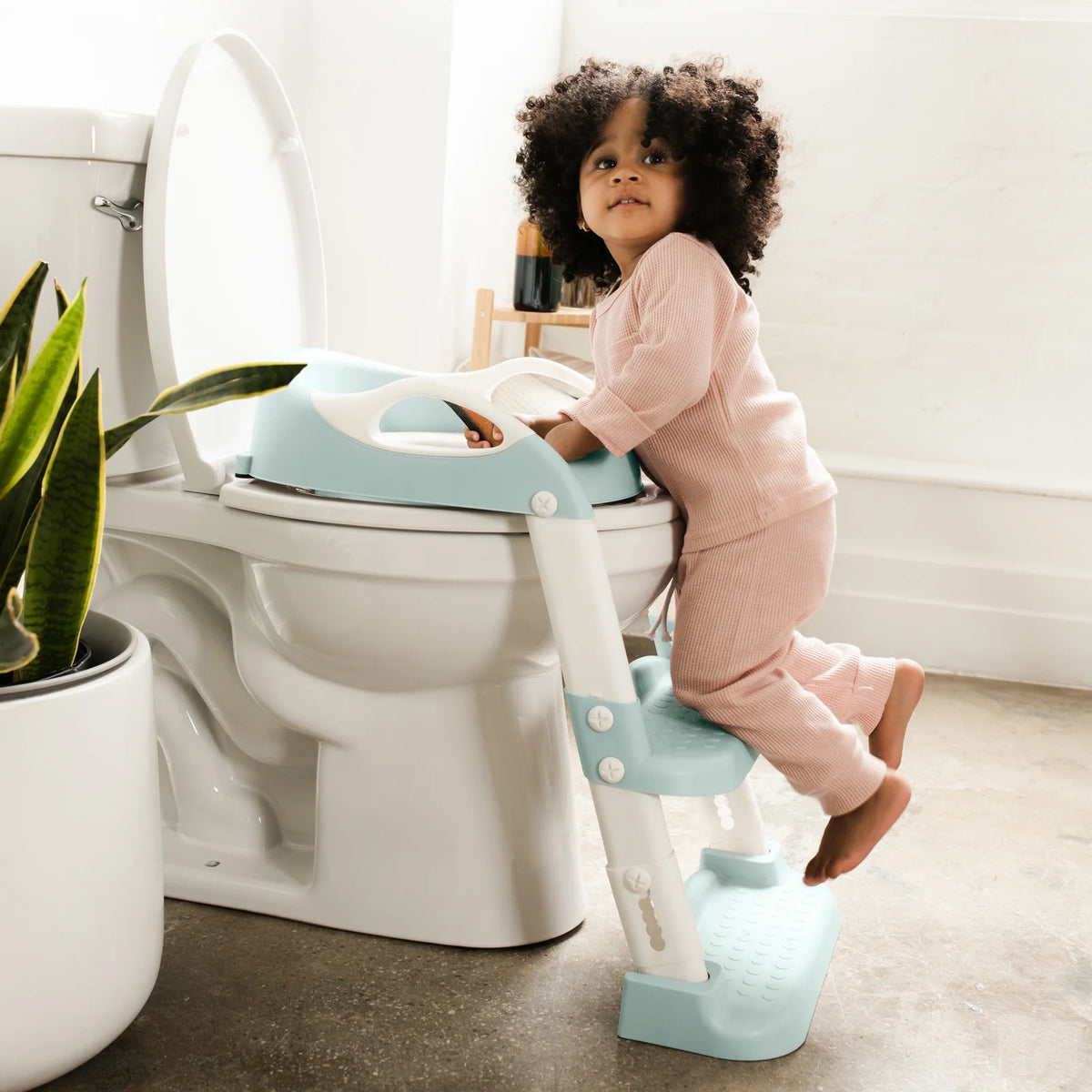 Two-Step Ladder Potty Training Seat
