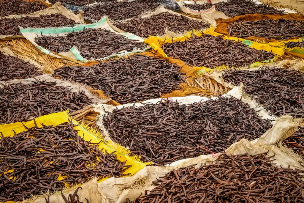 Ugandan Vanilla Beans