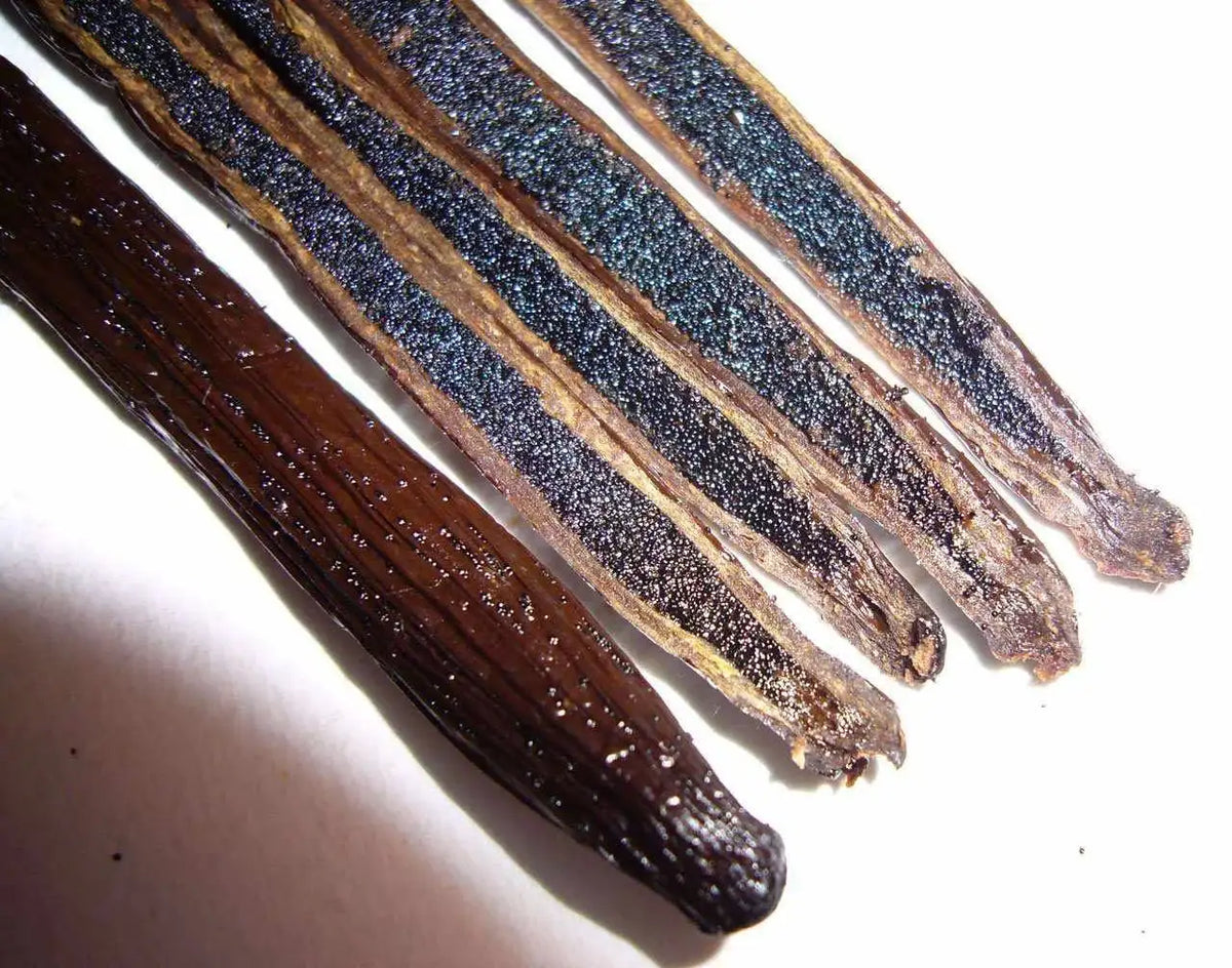 Vanilla Extract Kit