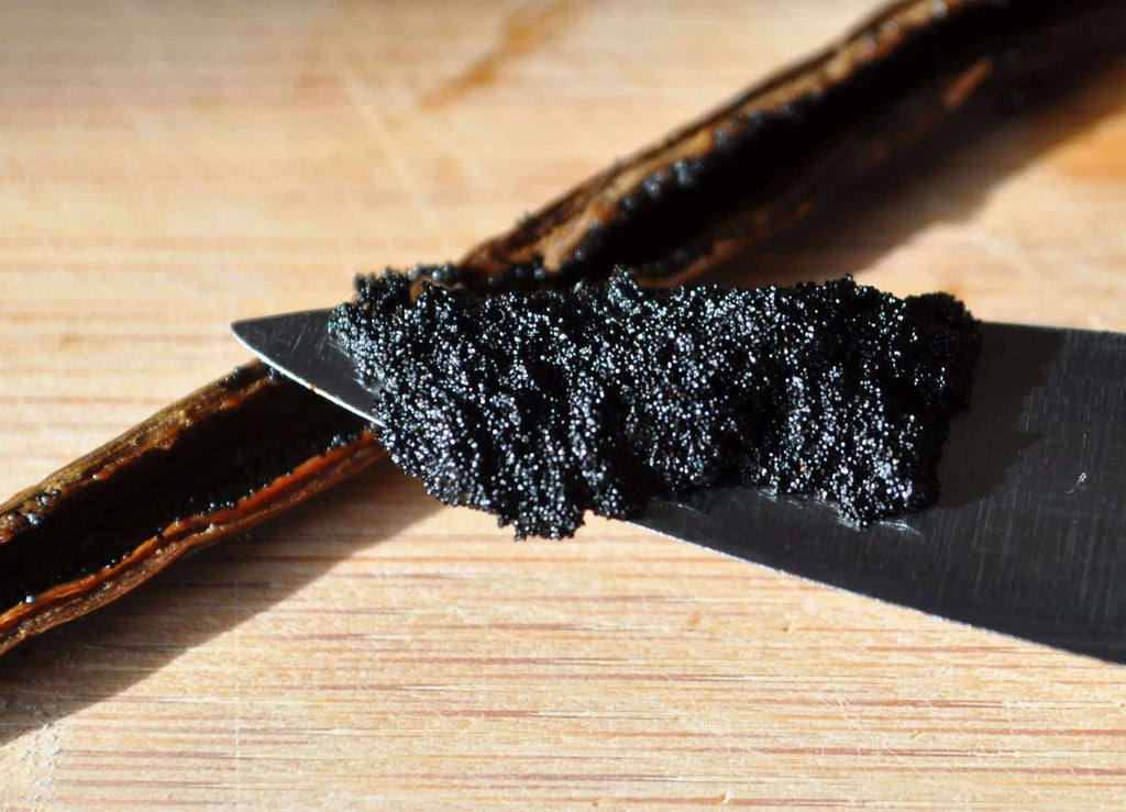 Vanilla Extract Kit