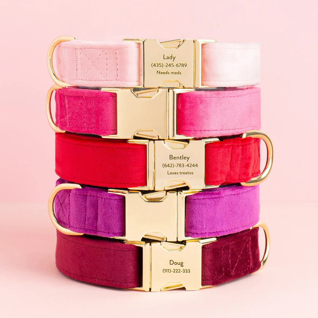 Velvet Dog Collar
