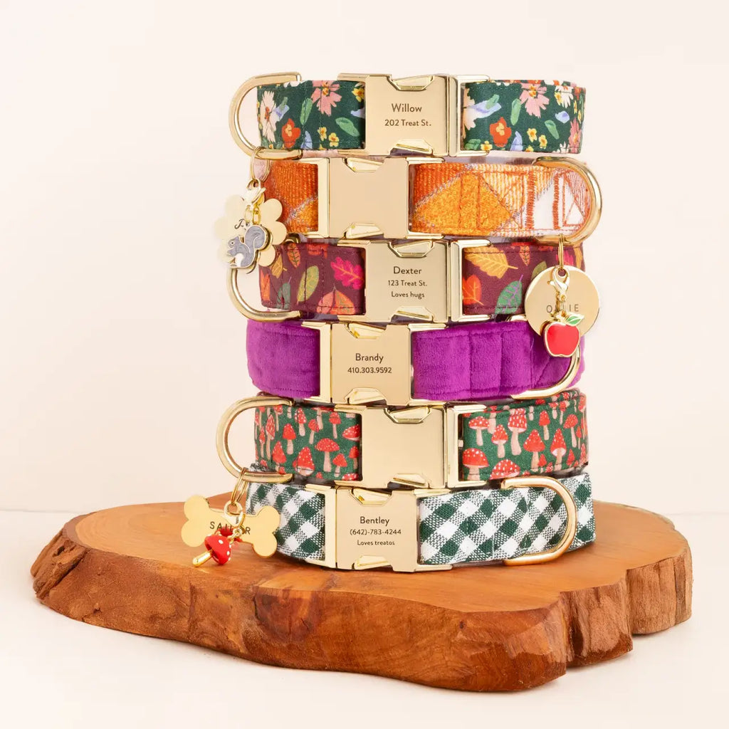 Velvet Dog Collar