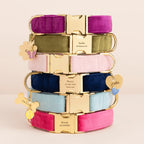 Velvet Dog Collar