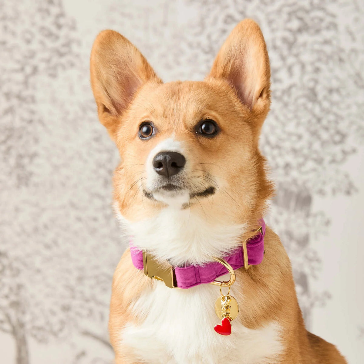 Velvet Dog Collar