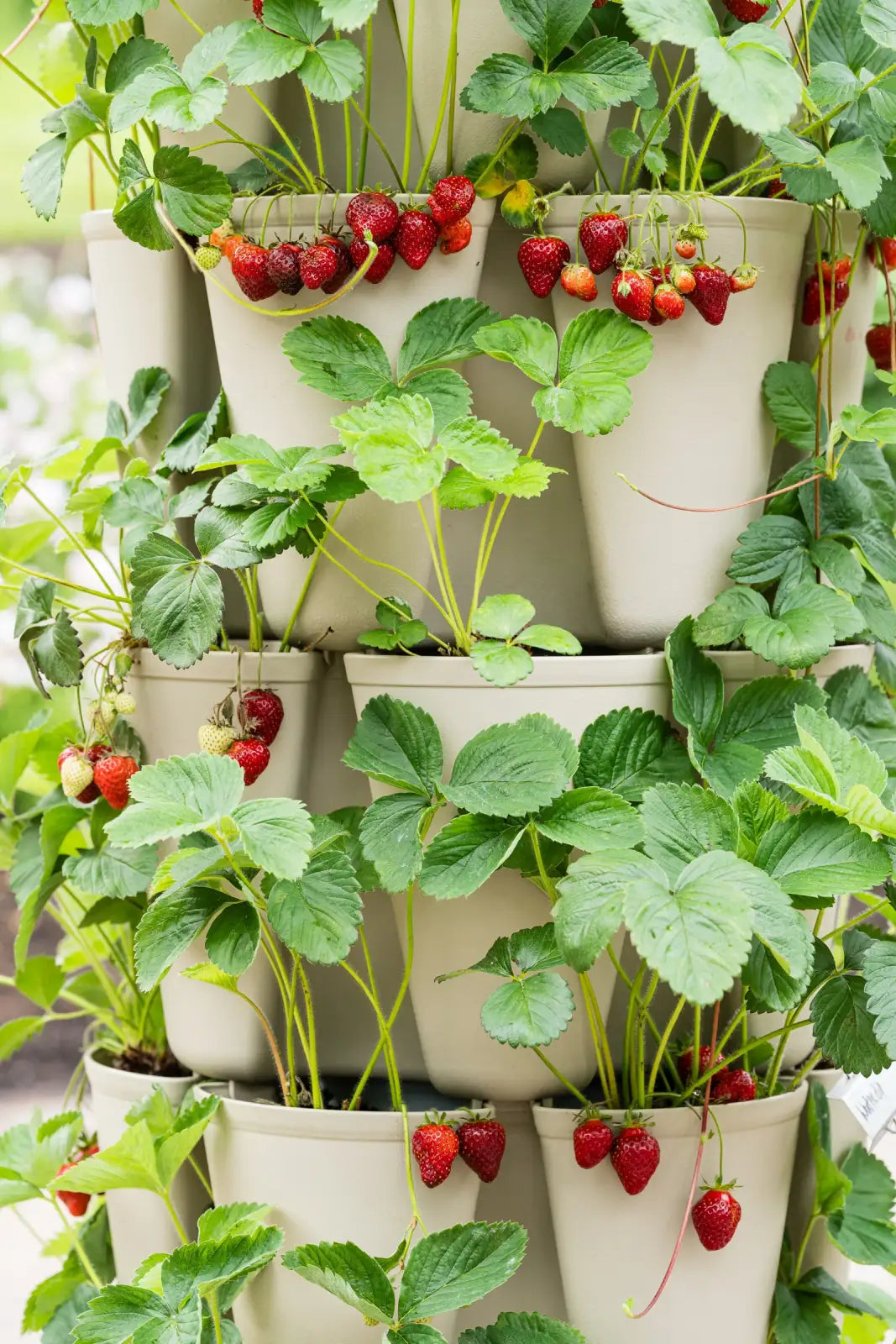 Vertical Planter with Five Tiers and 30 Deep Planting Pockets in a Light Sandy Texture for Container Gardening