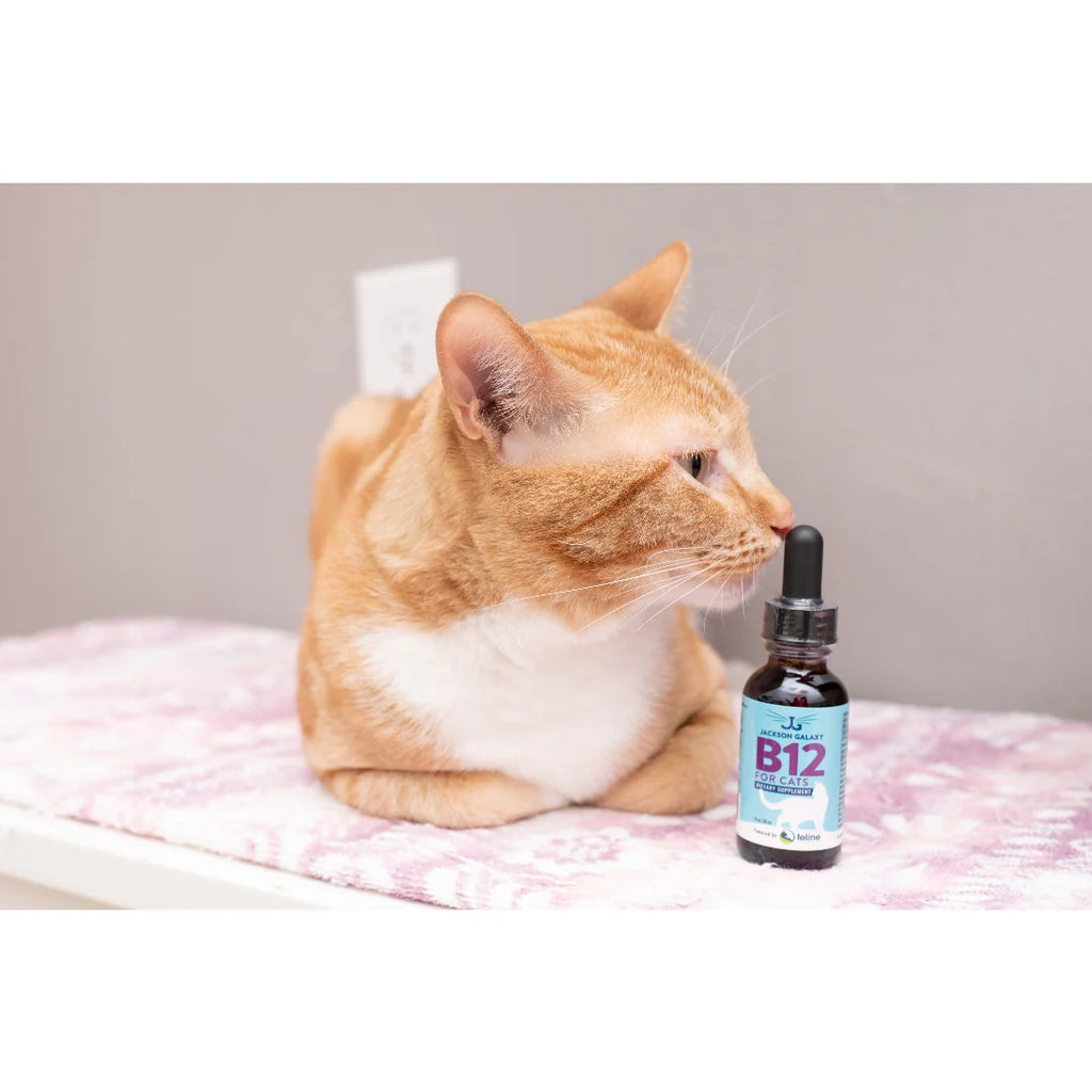 Vitamin B12 Supplement