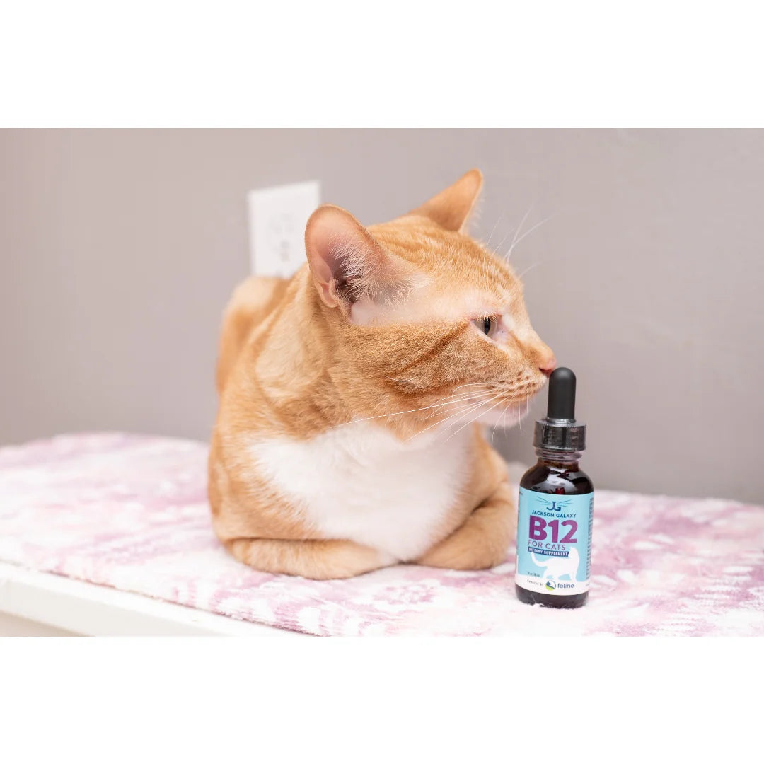 Vitamin B12 Supplement