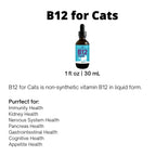 Vitamin B12 Supplement