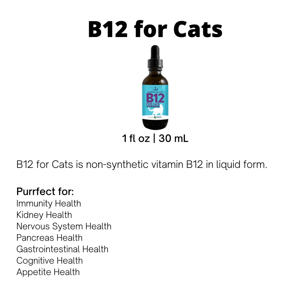Vitamin B12 Supplement