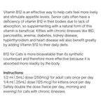 Vitamin B12 Supplement