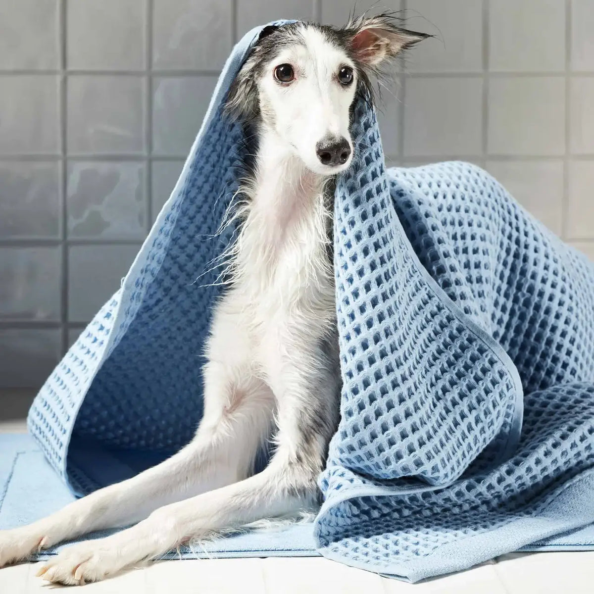 Waffle Bath Towels Set of 2 in 100% Long-Staple Turkish Cotton,