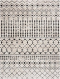 Washable Area Rug in Transitional Bohemian Style, Low Pile 100%