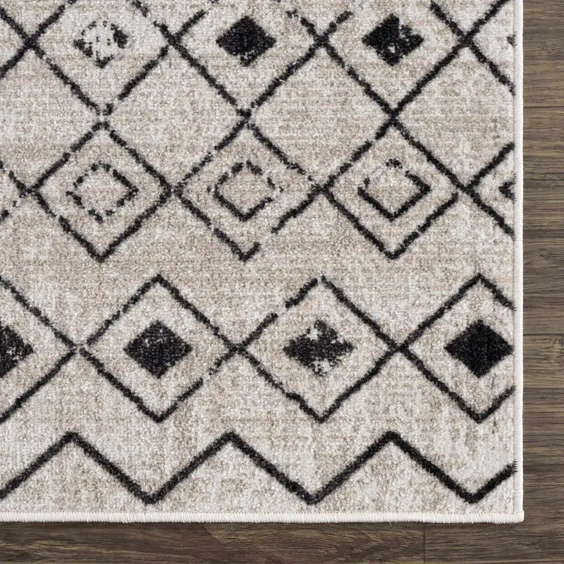 Washable Area Rug in Transitional Bohemian Style, Low Pile 100%