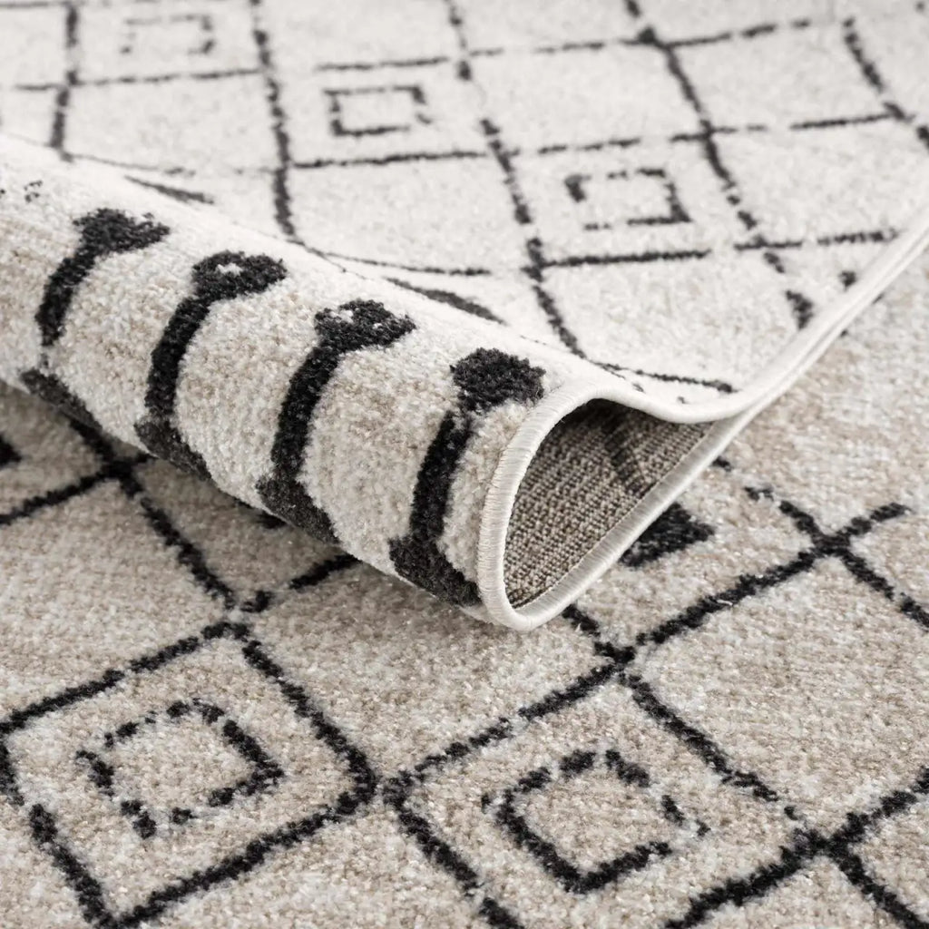 Washable Area Rug in Transitional Bohemian Style, Low Pile 100%